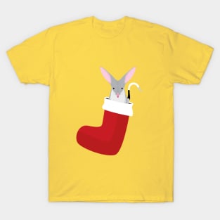 Australian bilby in a Christmas stocking T-Shirt